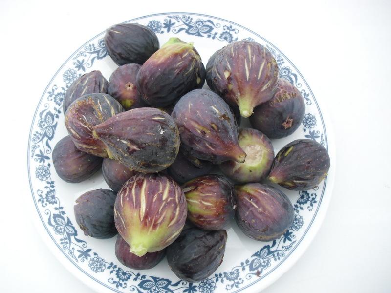 LA ACTIVIDAD EN EL HUERTO EN AGOSTO 2013