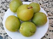 actividad huerto agosto 2013