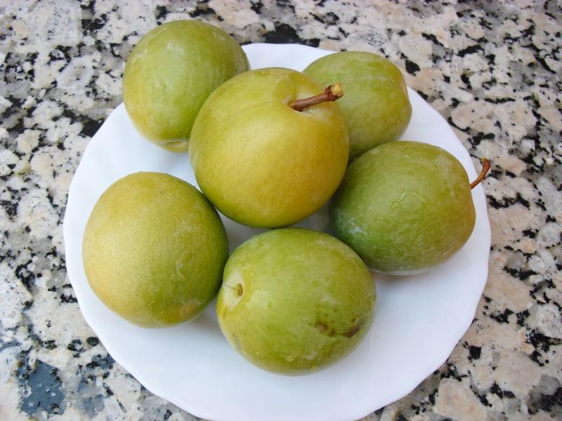 LA ACTIVIDAD EN EL HUERTO EN AGOSTO 2013