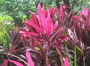 LOOK243-2.9.20138:15FRASE SEPTIEMBRE:''La moda...