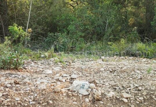 Leyendas valencianas, el campesino y el diablo