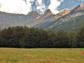 Regreso veranos Pineta