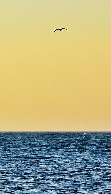 SIGO DE VACACIONES...