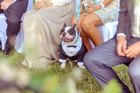 Bodas de hoy... Inspirada en un cuento de ninfas y hadas del bosque...