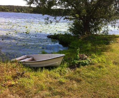 Un verano en los países nórdicos. Primer destino: Estocolmo Un verano en los países nórdicos. Primer destino: Estocolmo