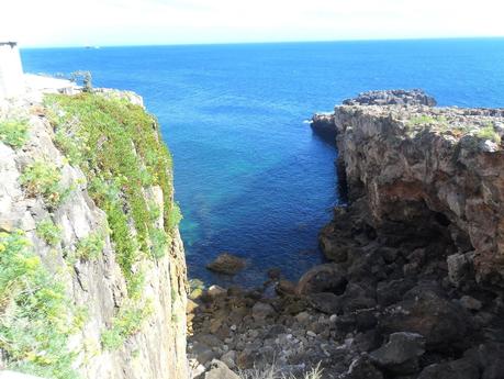 Chalota de helado de yogur y moras y viaje a Portugal