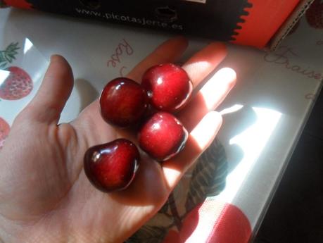 Chalota de helado de yogur y moras y viaje a Portugal