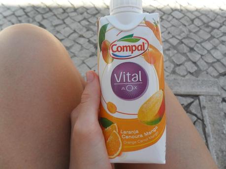 Chalota de helado de yogur y moras y viaje a Portugal