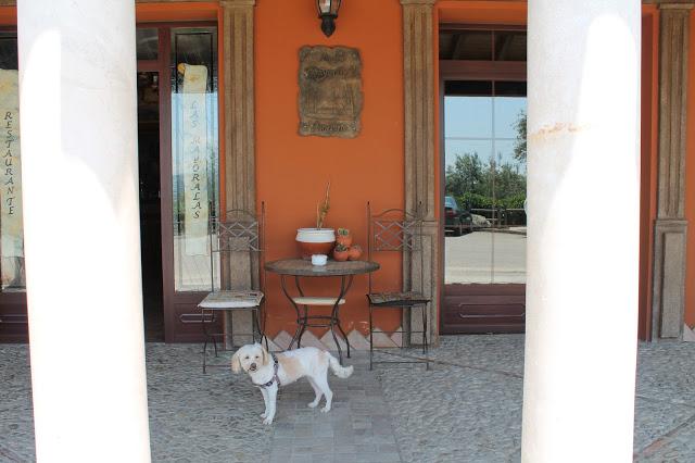 La Axarquía desde Las Mayoralas