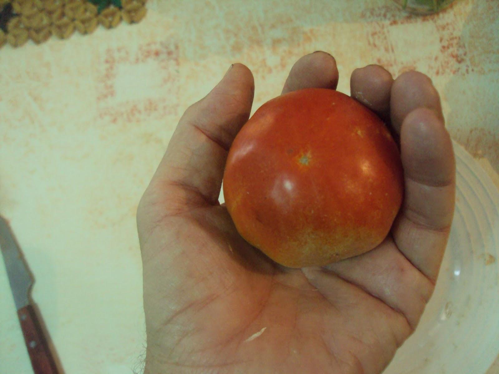 VARIEDADES DE TOMATES