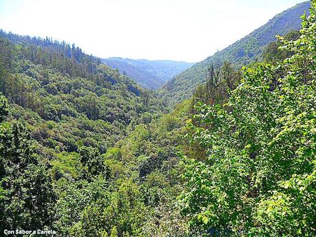 Fragas do Eume, un bosque con encanto