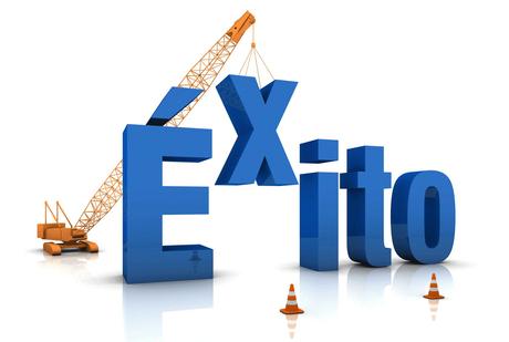 Nociones sobre Management: La Senda del Éxito