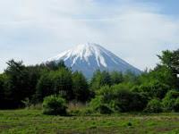 Aokigahara, el bosque de los suicidas Aokigahara, el bosque de los suicidas