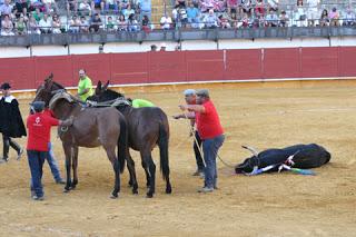 UNA DOBLE SALIDA A HOMBROS CIERRA LA FERIA TAURINA DE PRIEGO