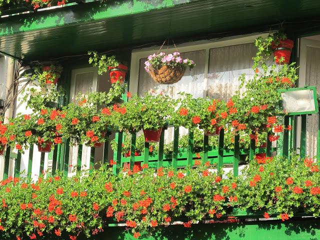 Pequeños placeres de Fuenterrabia