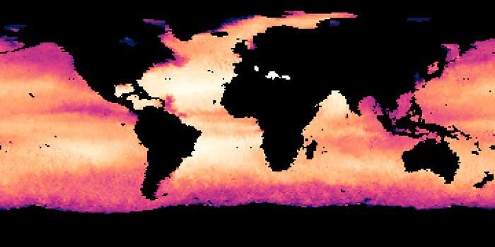 mapa de la salinidad de los océanos