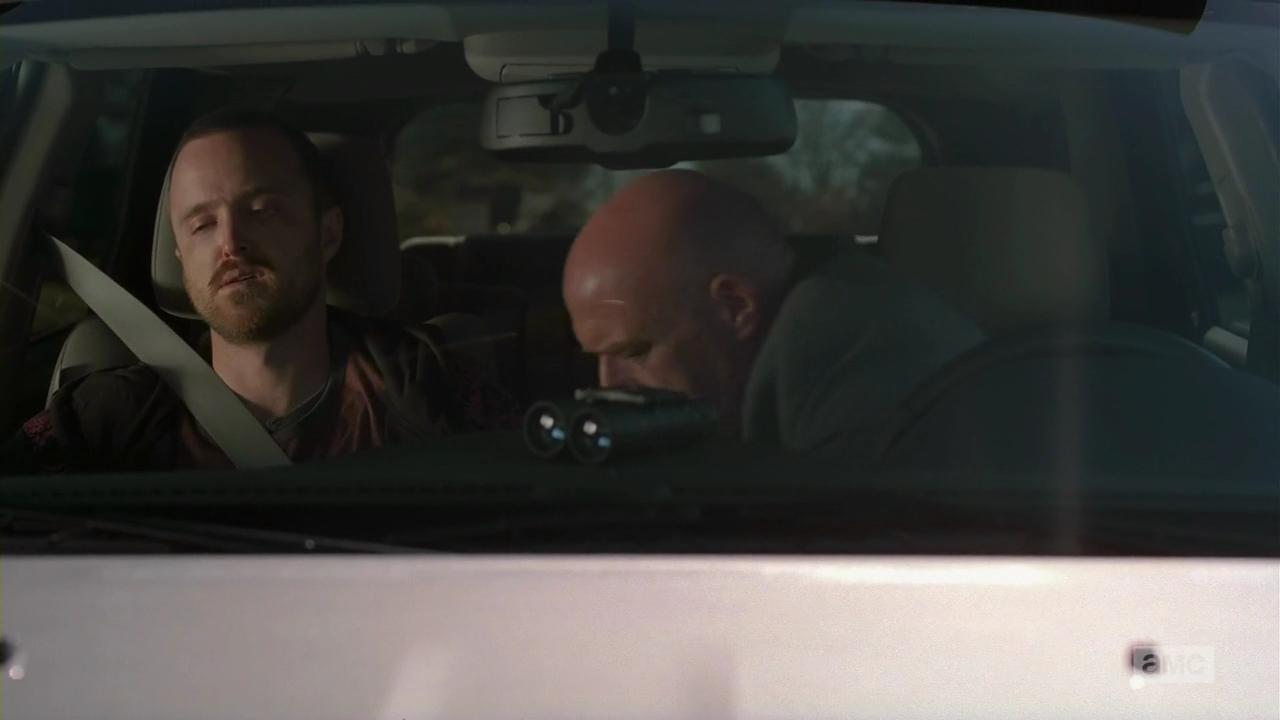 Review: Breaking Bad S05 E12 - Rabid Dog