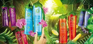 Y TÚ? QUE LE PIDES A TU CHAMPÚ? Y TÚ? QUE LE PIDES A TU CHAMPÚ?