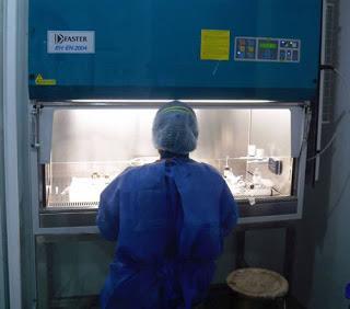 Lo que sabemos y lo que se nos exige