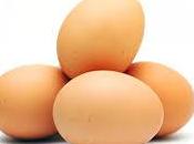 Huevos ecológicos, proteínas nutrientes calidad para organismo