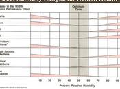 Comprar humidificador para niño