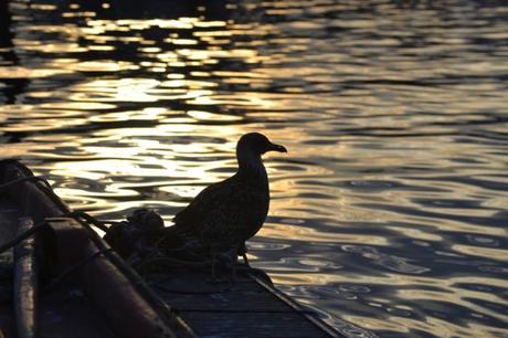 Outfit Low Cost: Basic