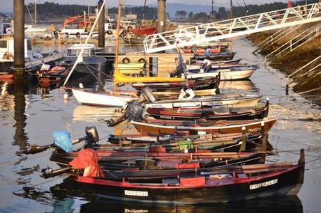 Outfit Low Cost: Basic