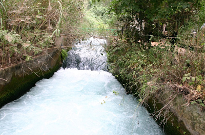 Reserva Natural Tel Dan, Israel