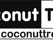 Coconut Tree SORTEO!!!!!!