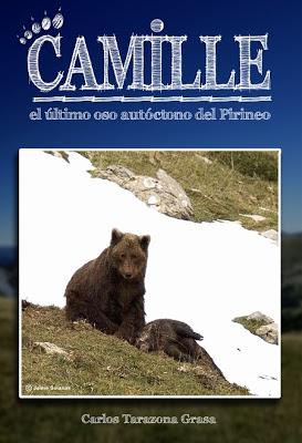 Camille, el último oso autóctono del Pirineo.