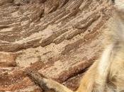 ¿Cuál mayor dificultad felicidad?