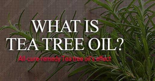 “Refining Teatree Mist” de O.S.T – el alivio para una piel problemática (From Asia With Love)