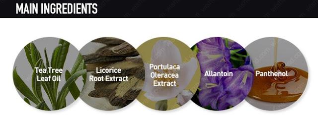 “Refining Teatree Mist” de O.S.T – el alivio para una piel problemática (From Asia With Love)