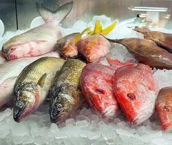 Pescados azules y blancos: diferencias y como cocinarlos muestra-pescados-azules-blancos