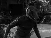 consulta 2016 ¿por mañana tarde?