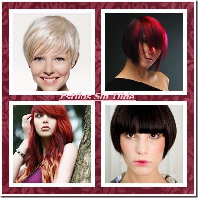 cats thumb4 Nuevos tonos de pelo para 2014