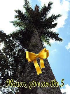 “Tie a yellow ribbon round the old oak tree” por Silvio y otros músicos cubanos [+ video]