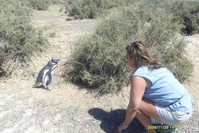 Se inicia la temporada de pingüinos de Punta Tombo 5* Vuelta a la Patagonia de la Montaña al Mar, Se viene la 6*..