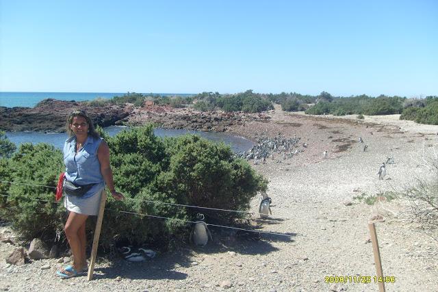 Se inicia la temporada de pingüinos de Punta Tombo 5* Vuelta a la Patagonia de la Montaña al Mar, Se viene la 6*..