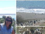 inicia temporada pingüinos Punta Tombo Vuelta Patagonia Montaña Mar, viene 6*..