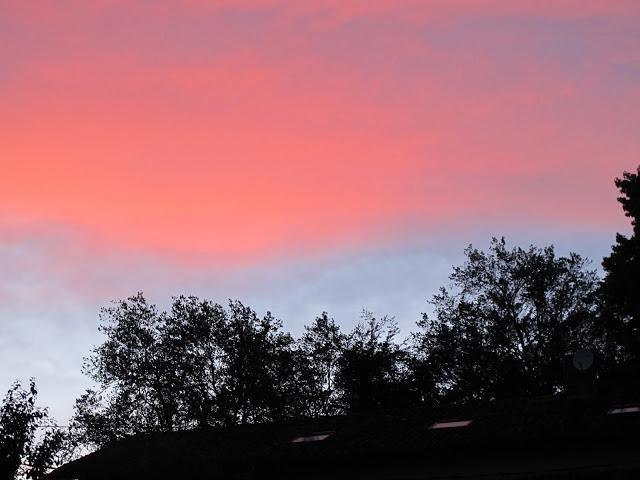 Después de la tormenta