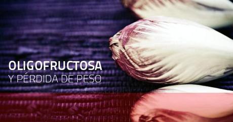 Oligofructosa y dieta Dukan: ¿es lo mismo oligofructosa que fructosa?