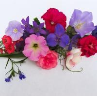 Para regalar y decorar en Primavera Para regalar y decorar en Primavera