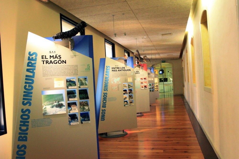 Museo de la Naturaleza y el Hombre