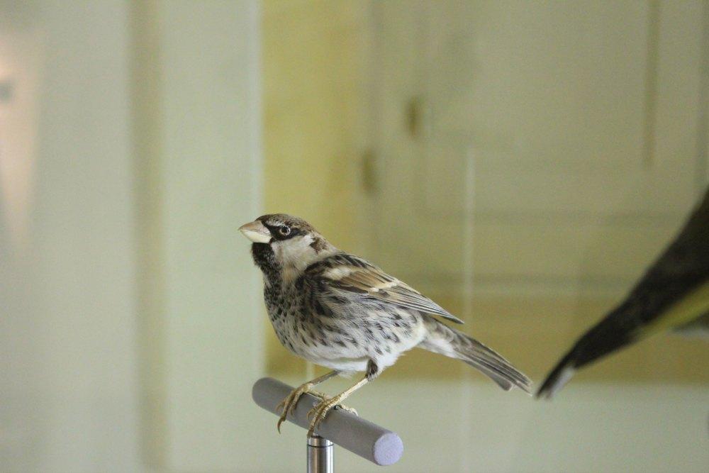 Museo de la Naturaleza y el Hombre