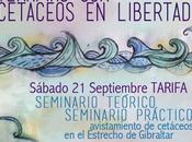 Seminario Teórico-Práctico sobre Terapias Cetáceos Libertad