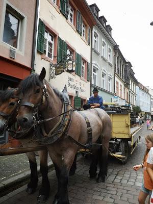 Día 3 . Friburgo, una ciudad de cuento!