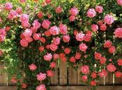 LOOK 246-9.9.20137:30¡¡Qué amiga!! ¿Cómo fi...