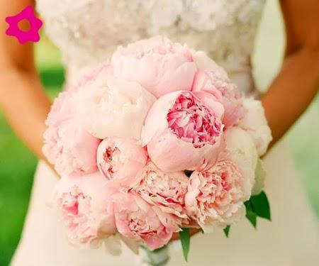 PEONIAS: UNA FLOR MUY DULCE Y ROMÁNTICA PARA BODA