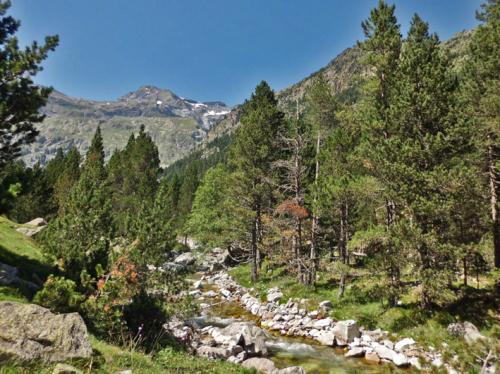 Río Barrosa y pico la Munia